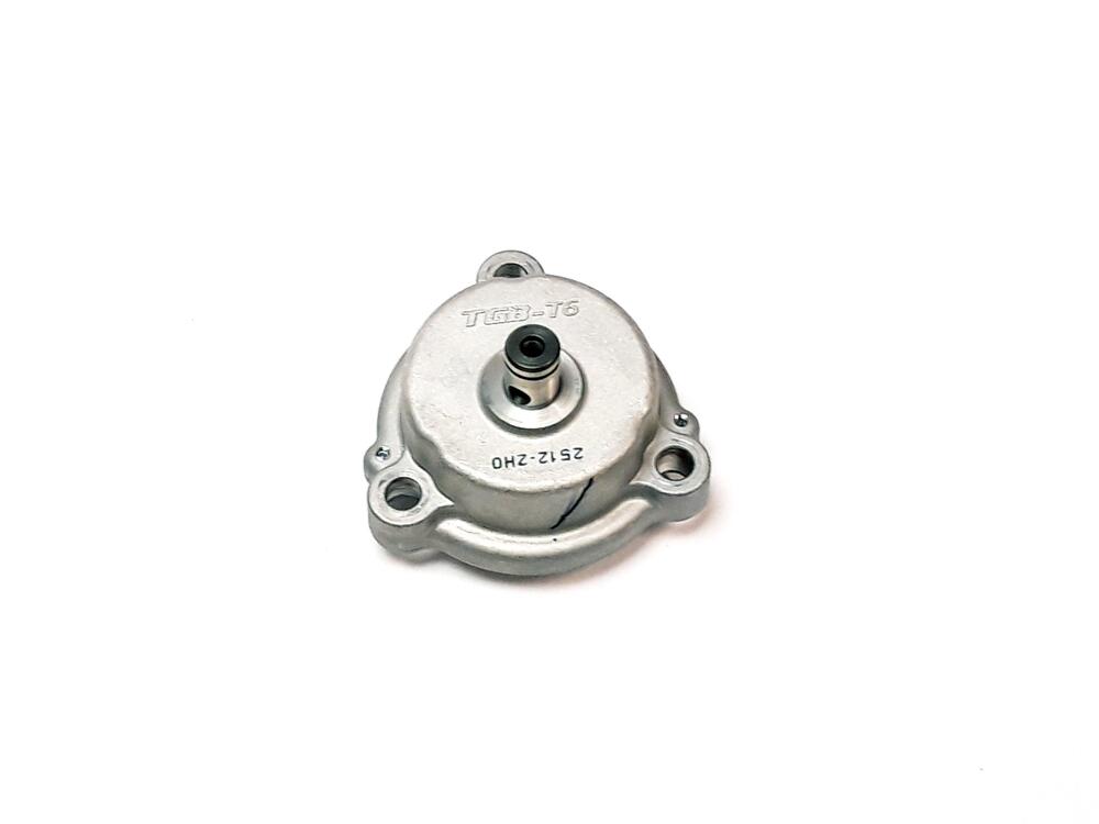 TGB Ölpumpe - 910333