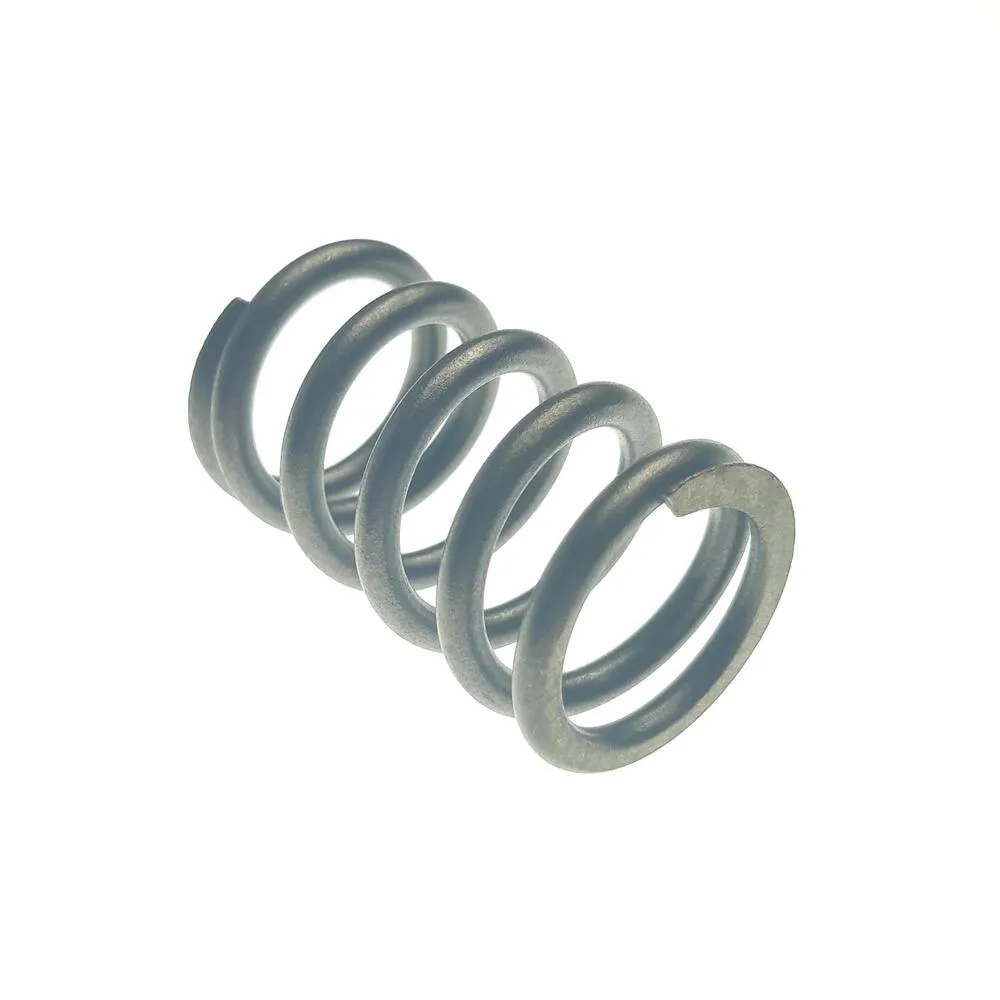 img-20200625-075732 TGB Ventilfeder - 910286