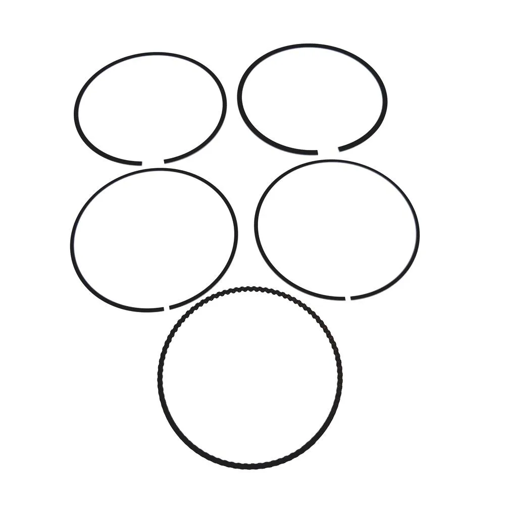 img-20210616-114932 TGB Kolbenringsatz - 923620