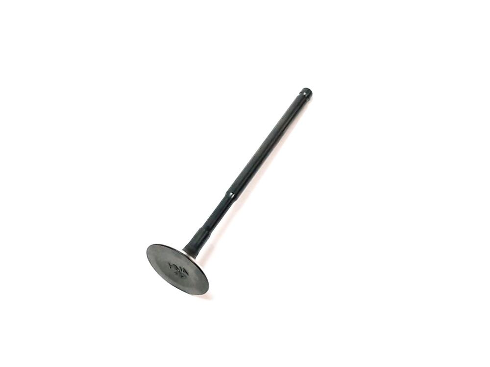 TGB Einlassventil - 923047