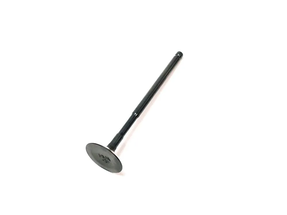 img-20221206-082256 TGB Einlassventil - 923047