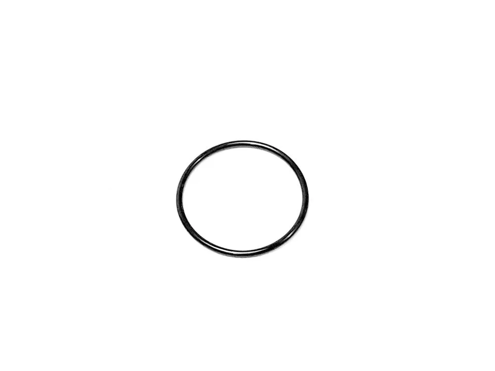 img-20221110-095127 TGB O-Ring - 925746