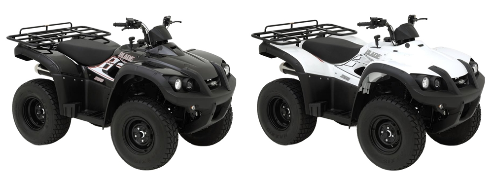 Blade 250 4x2 onroad 2008-09