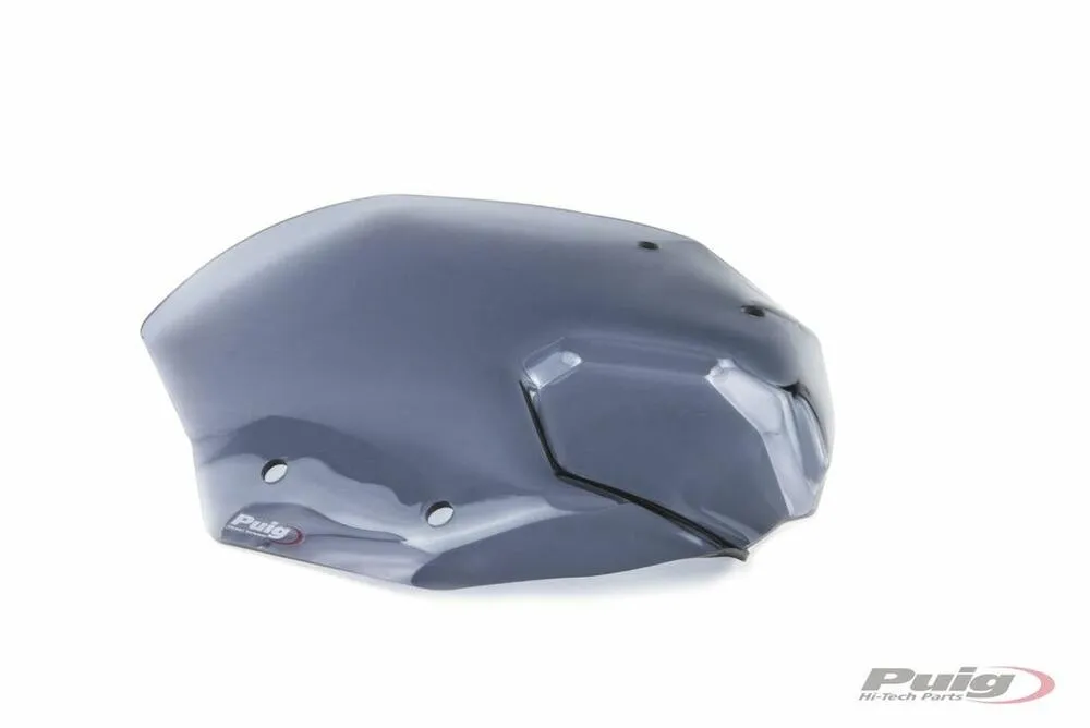 defaultmrG3CRUZ34hgg PUIG WIND. NEW GENERATION BMW R1250R 19'- C/GETÖNT - 3623H