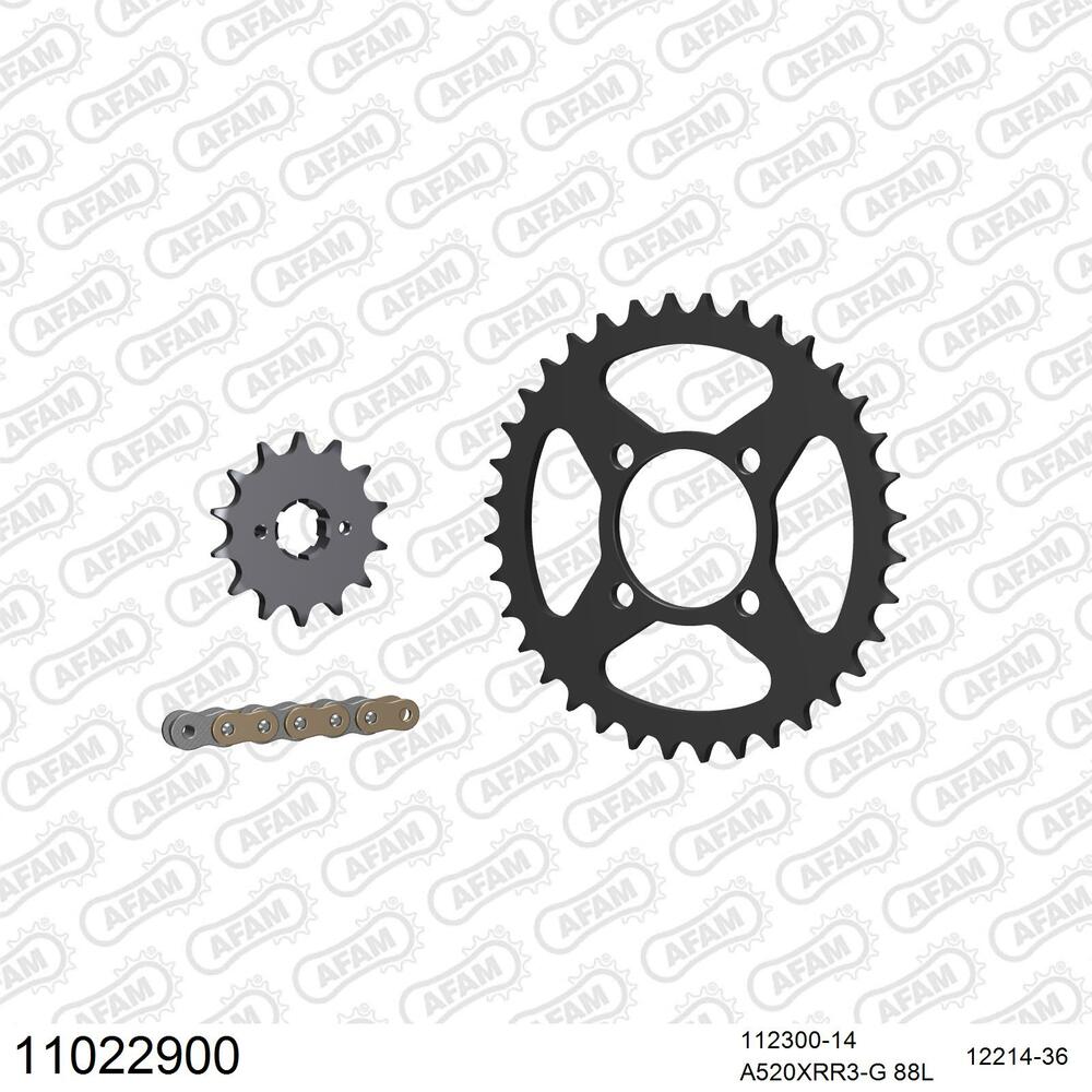 11022900