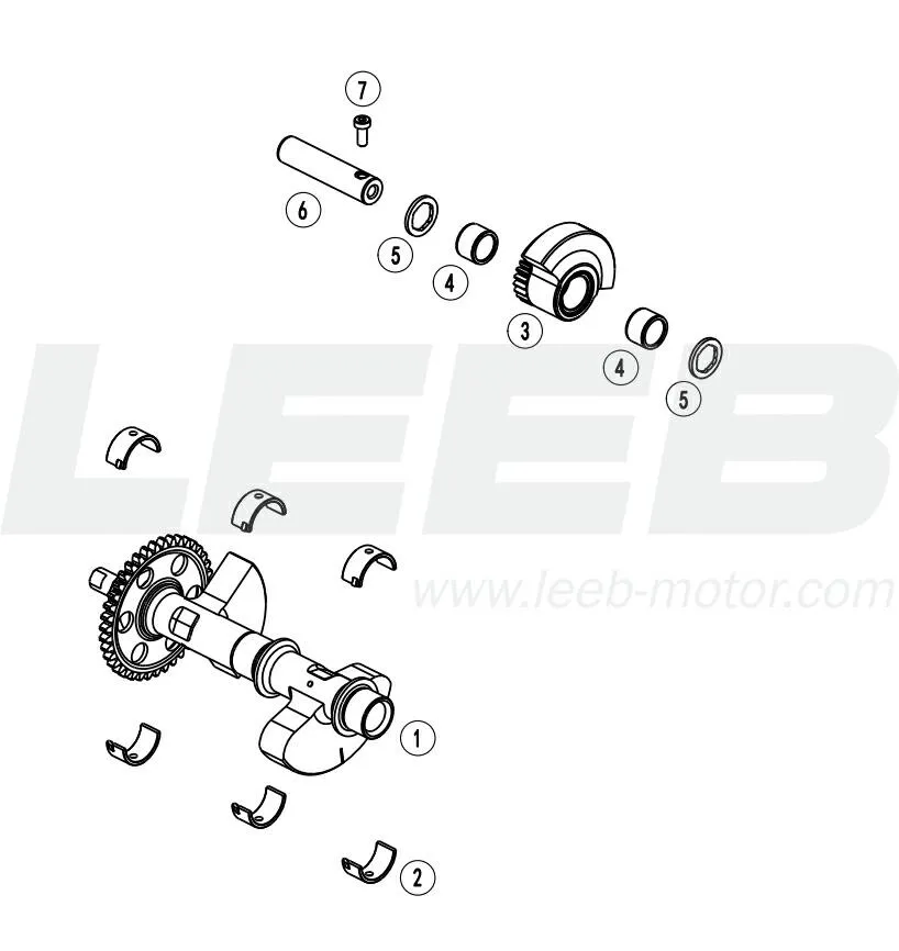 Ausgleichswelle Ausgleichswelle