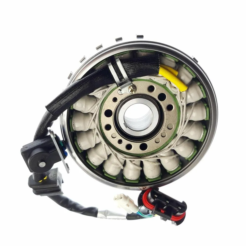 img-20210525-142403 TGB FLYWHEEL MAGNETO ASSY - 910790