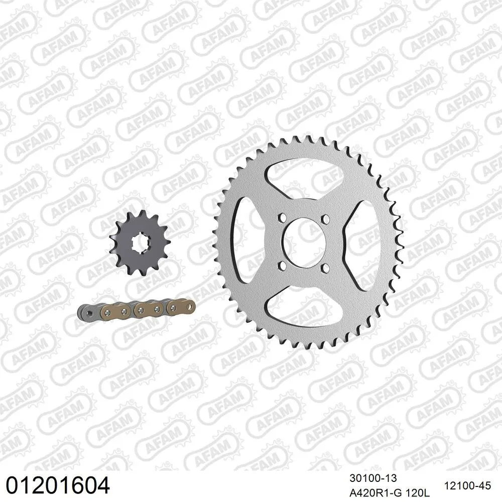 AFAM Kettensatz Stahl 420 R1-G 13x45 - Yamaha DT 50 R Automatique France 1988-90 - 01201604