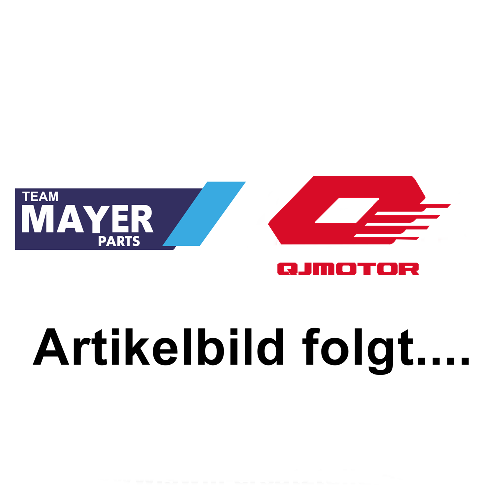 QJ Motor FRONT OIL PUMP BODY ASSEMBLY - 45400P410000