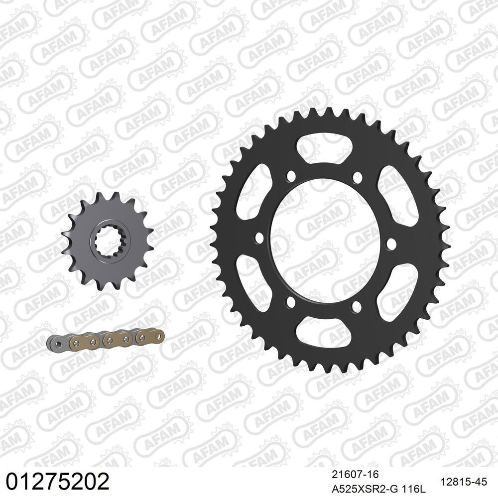 01275202