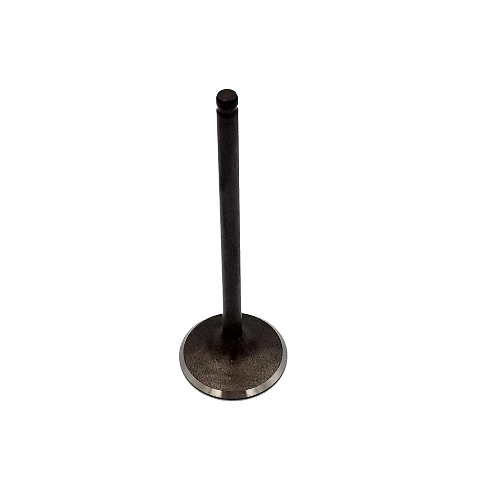 TGB Einlassventil - 924020