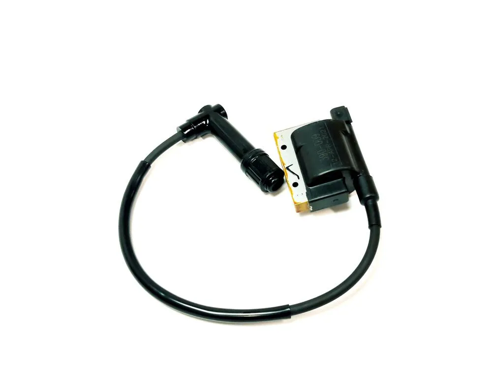 img-20221123-091933 TGB Zündspule kompl. - 910715M-8