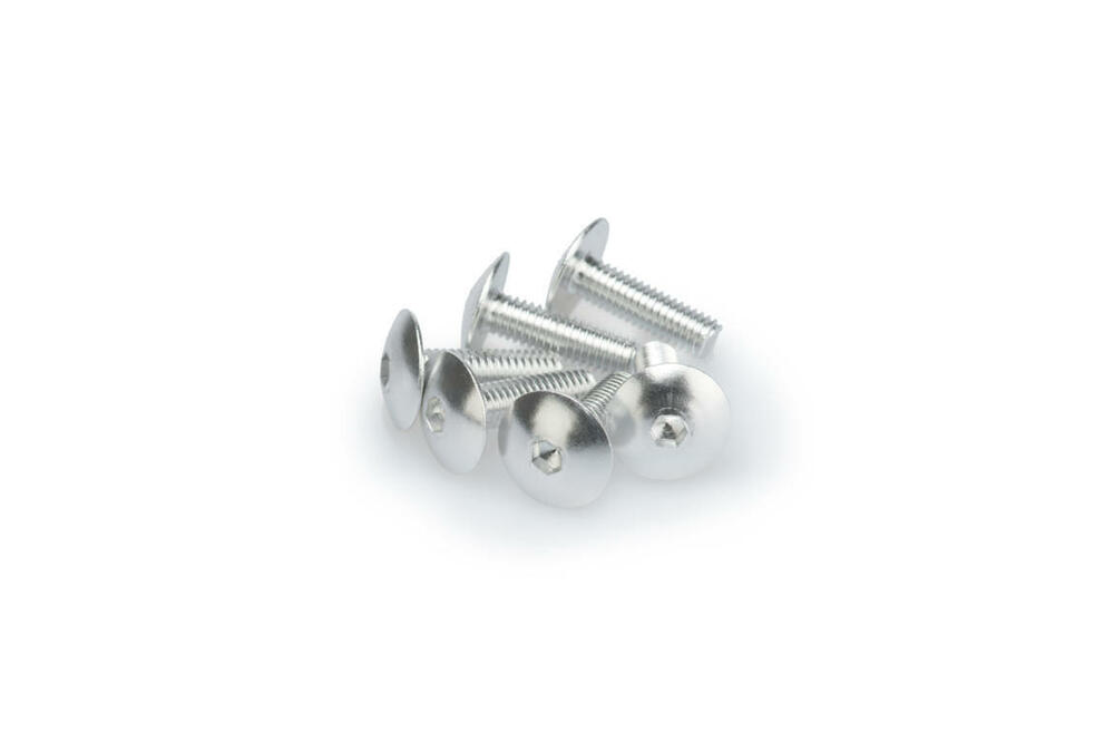 PUIG SCHRAUBEN-KIT (KUPPELFÖRMIG) M6X20MM. SILBER - 0657P