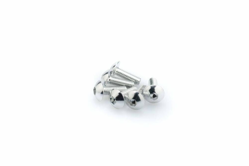 PUIG SCHRAUBEN-KIT (KUPPELFÖRMIG) M5X15MM. SILBER - 0543P