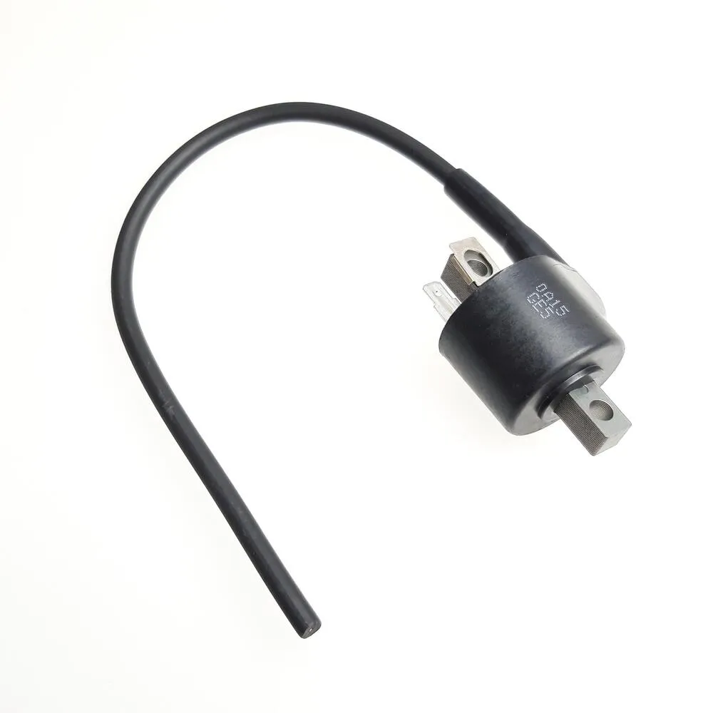 img-20210526-110022 TGB Zündspule lose - GE5139906