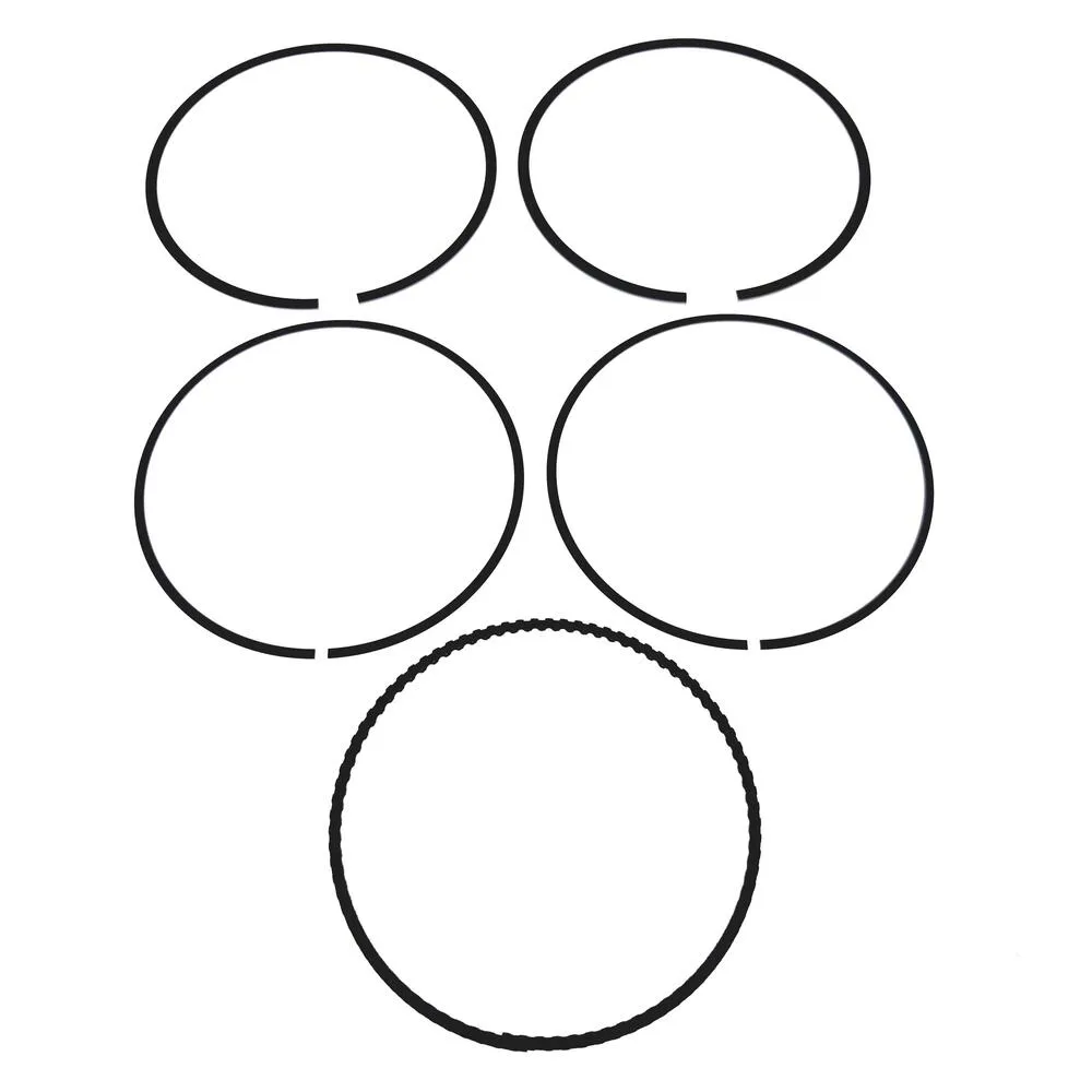 img-20210610-125448 TGB Kolbenringsatz - 924005