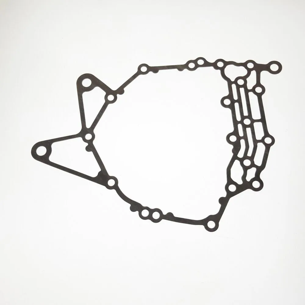 img-20201211-093623 TGB R/B 910480 GASKET - 911116