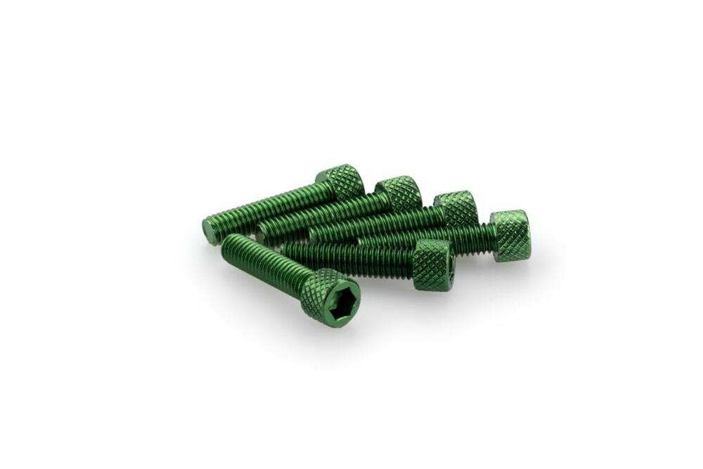 PUIG INBUS-SCHRAUBEN-KIT M6X25MM. GRÜN - 0544V