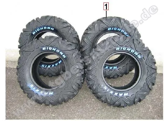 Reifensatz Maxxis Bighorn