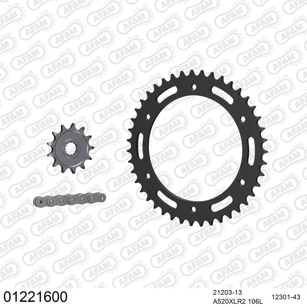 01221600 AFAM Kettensatz Stahl 520 XLR2 13x43 - Yamaha DT 200 R 1988-95 - 01221600