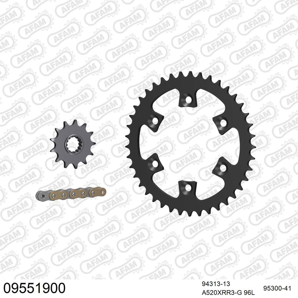 09551900