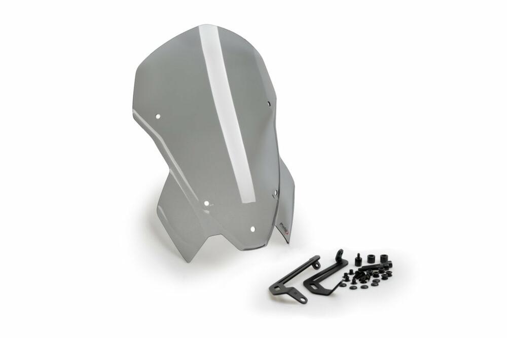 PUIG WIND. NEW GENERATION TOURING BMW S1000R 21' - 20889H