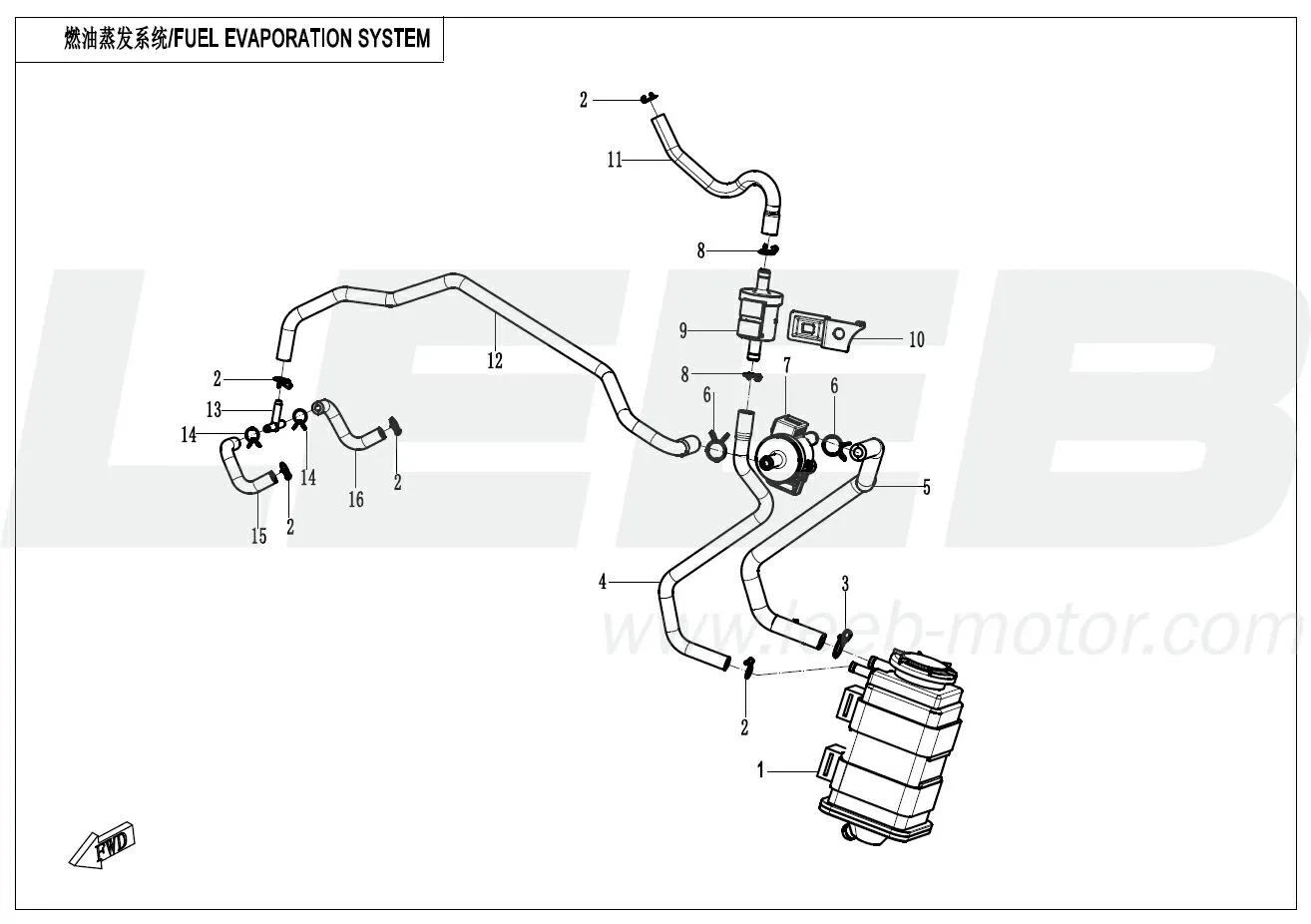Kraftstoffverdunstungssystem (EVAP) Kraftstoffverdunstungssystem (EVAP)