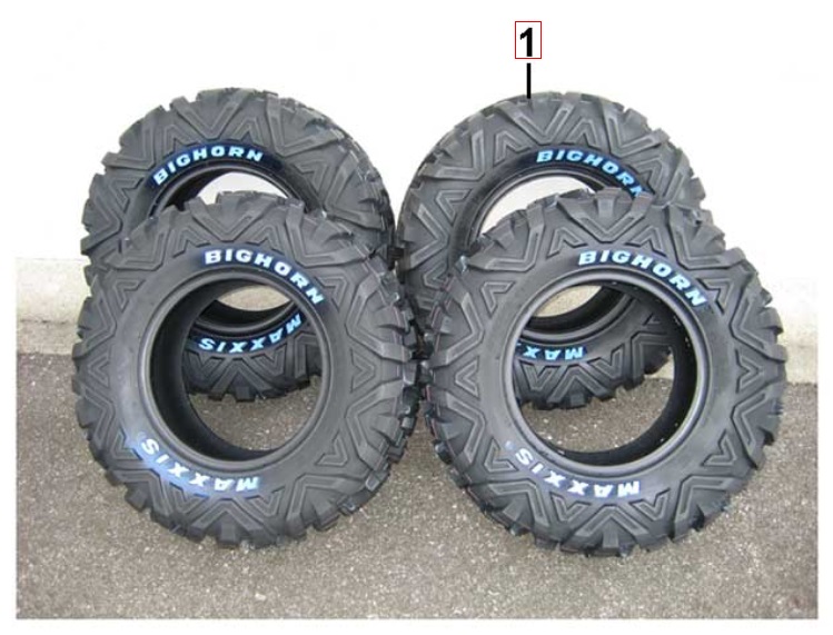 Reifensatz Maxxis Bighorn