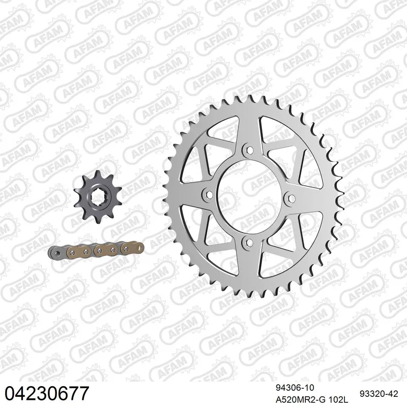 AFAM Kettensatz Aluminium 520 MR2-G 10x42 - Sherco ST 300 2013-16 - 04230677