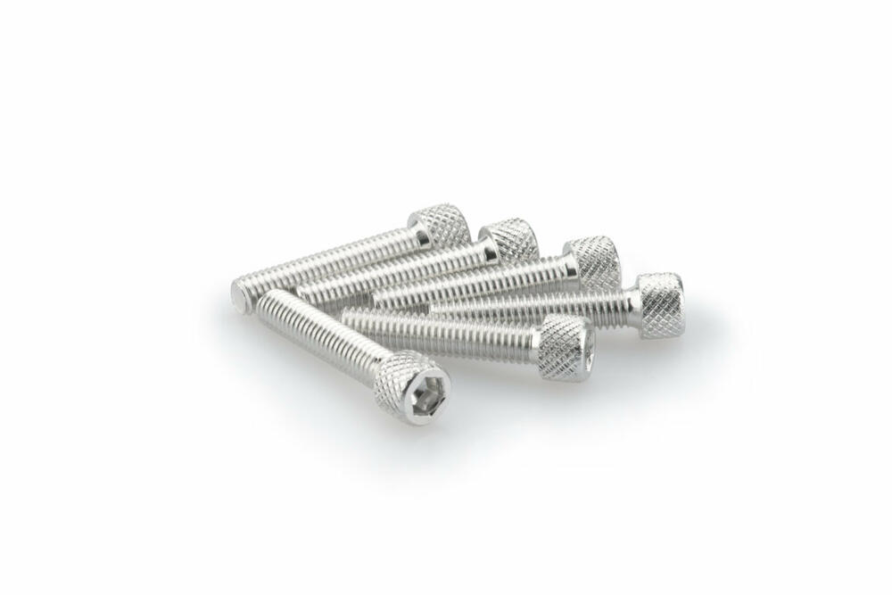 PUIG INBUS-SCHRAUBEN-KIT M6X30MM. SILBER - 0258P