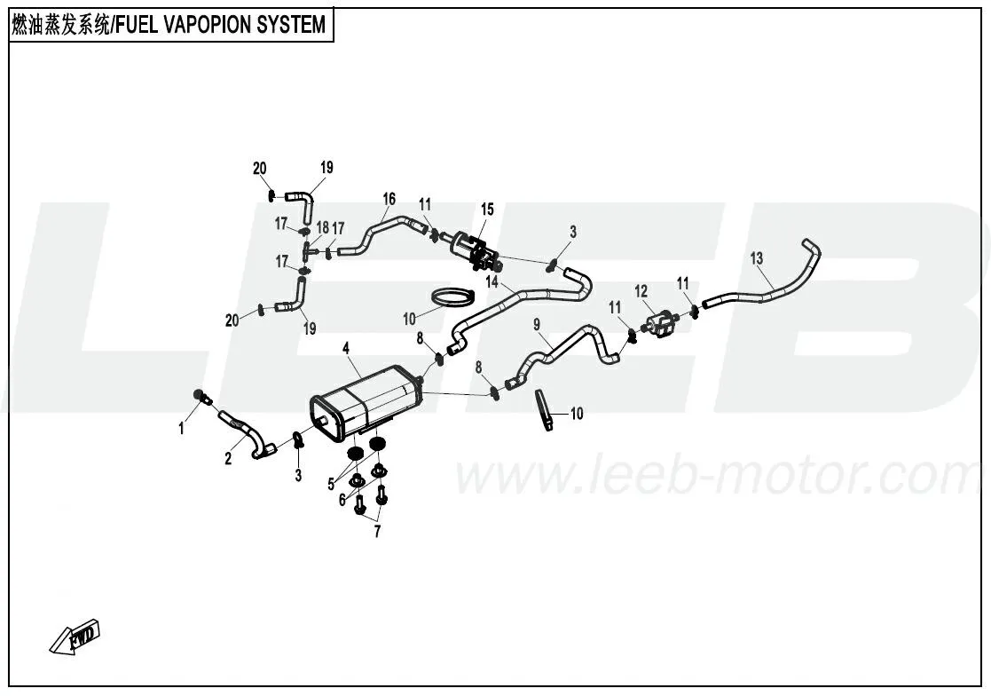 Kraftstoffverdunstungssystem (EVAP) 