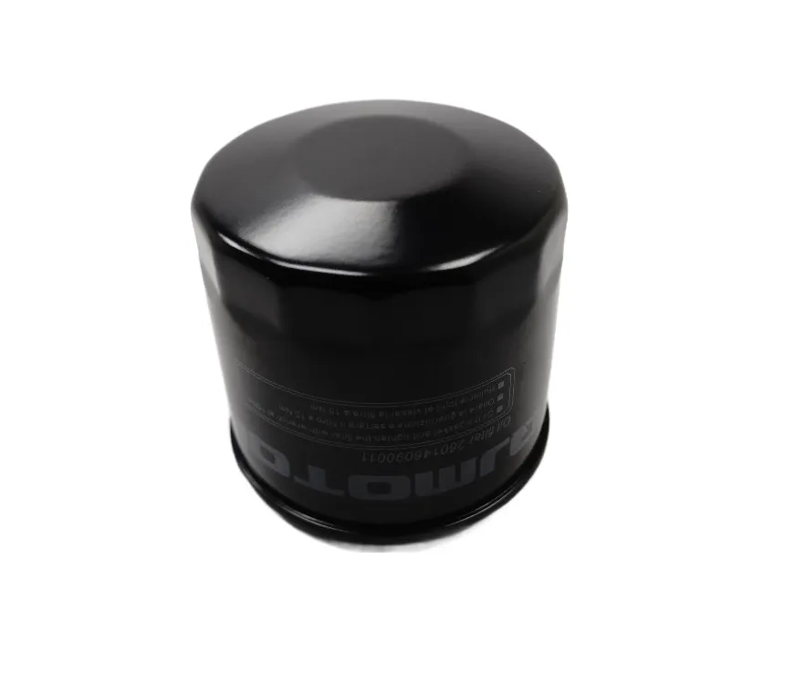 QJ Motor Öl Filter - SRV 550 | SVT 600 / 650 - 260146090011