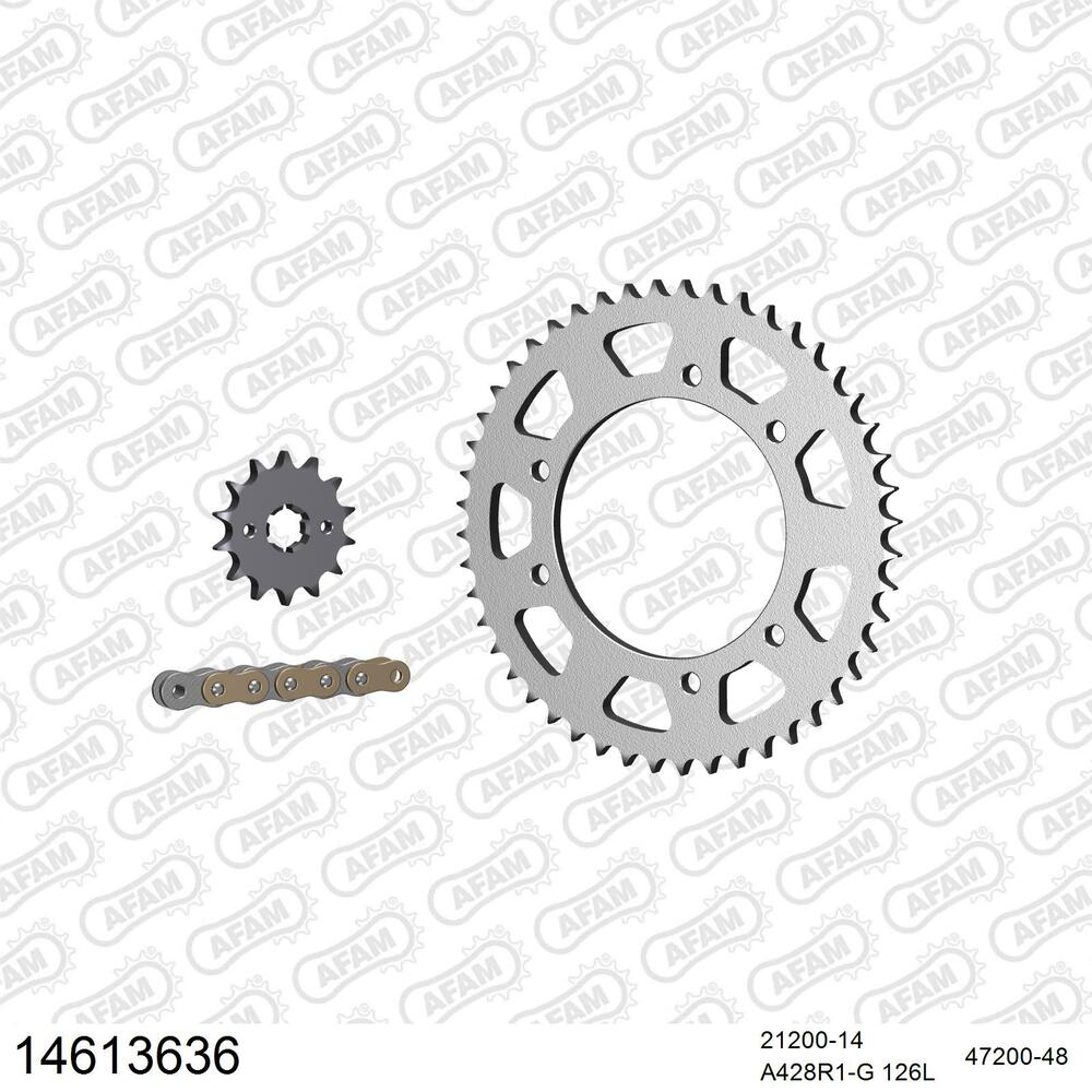 14613636