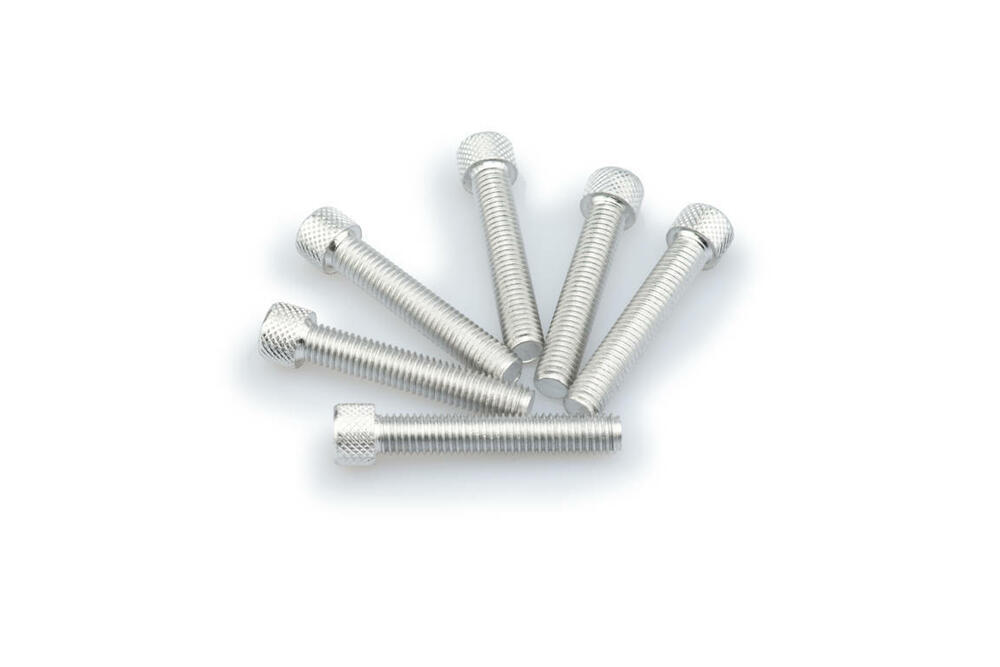 PUIG INBUS-SCHRAUBEN-KIT M8X45MM. SILBER - 0516P