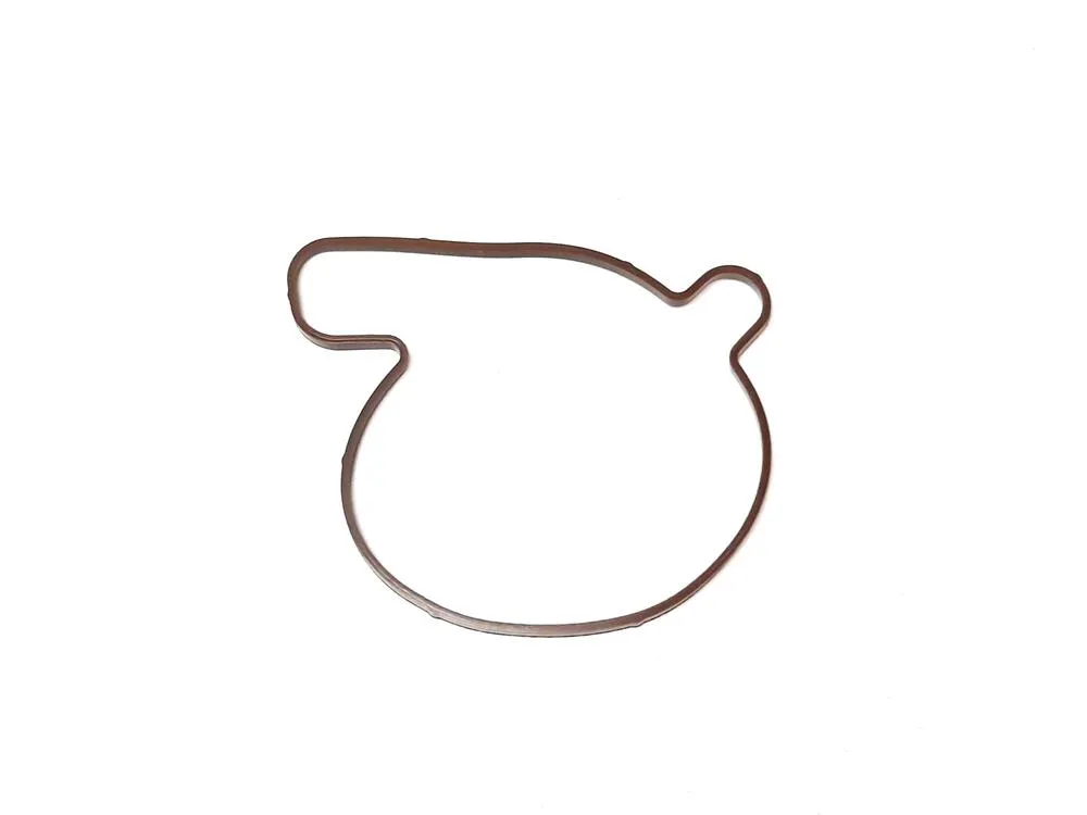 img-20221110-095413 TGB Dichtung Wasserpumpendeckel - 910461