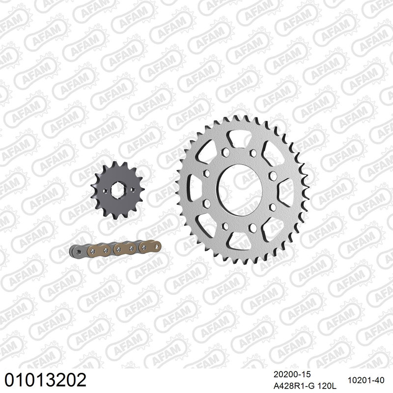 01013202