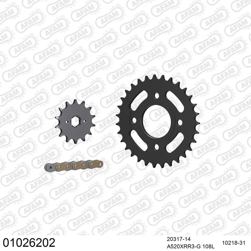 01026202 AFAM Kettensatz Stahl 520 XRR3-G 14x31 - Honda CB 250 Nighthawk 1992-00 - 01026202