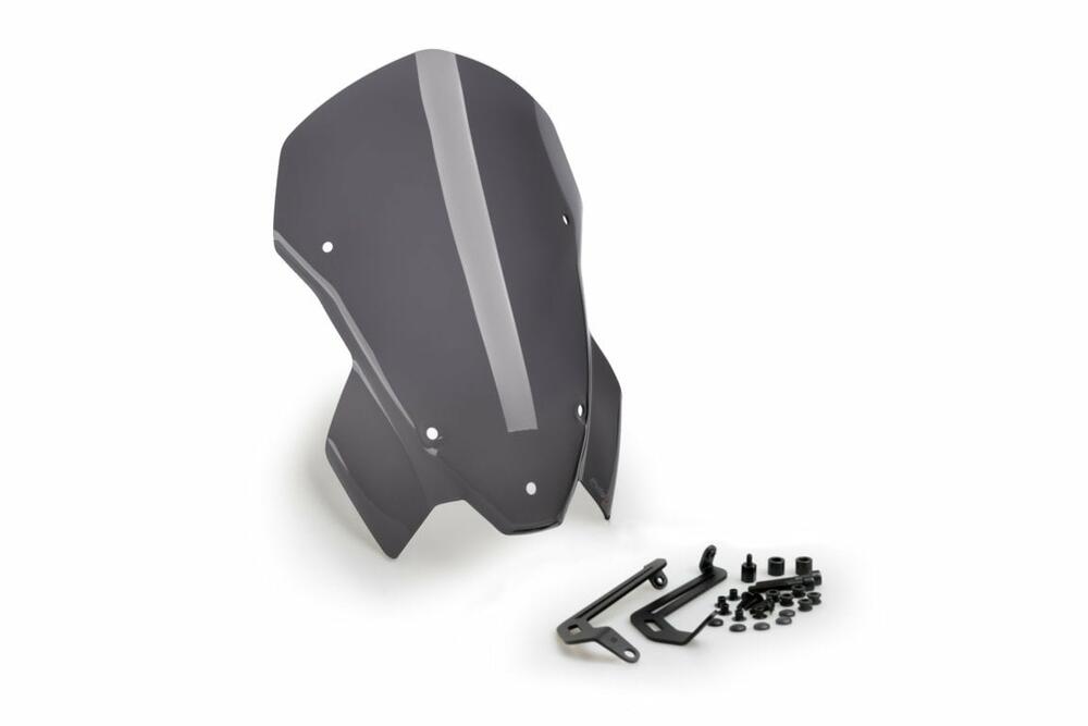 PUIG WIND. NEW GENERATION TOURING BMW S1000R 21' - 20889F