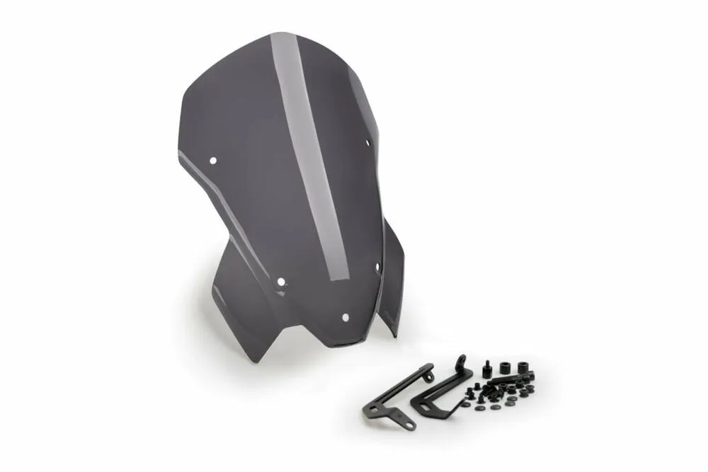 defaultF6FnpEUcp6SwQ PUIG WIND. NEW GENERATION TOURING BMW S1000R 21' - 20889F