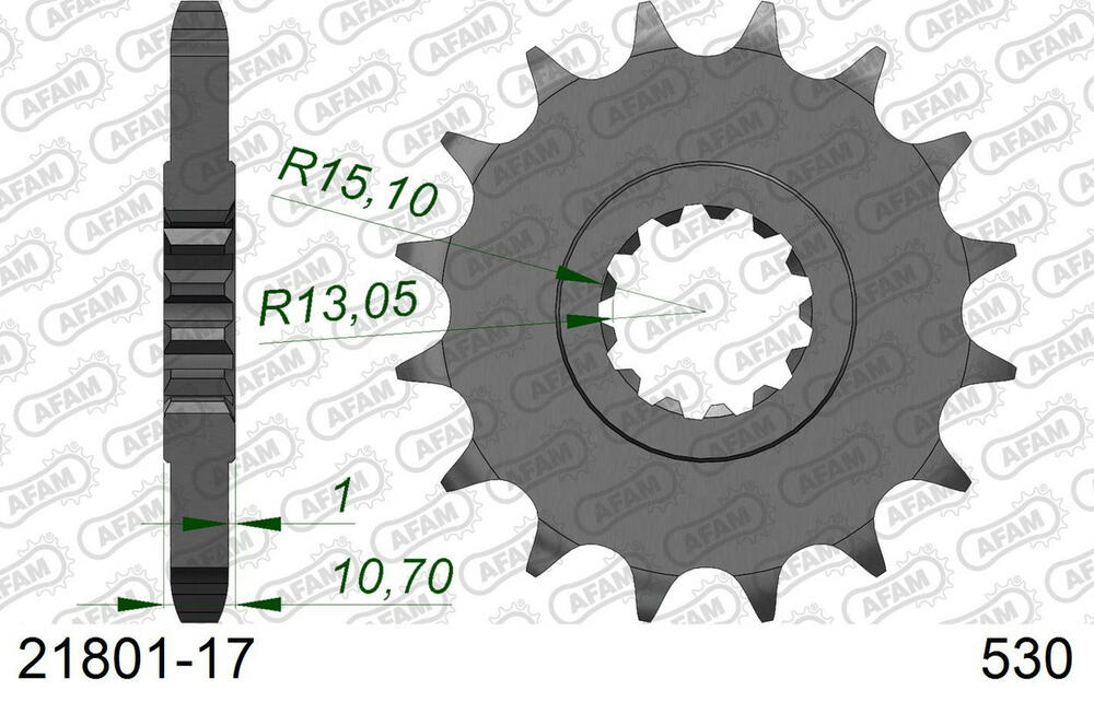 21801-17