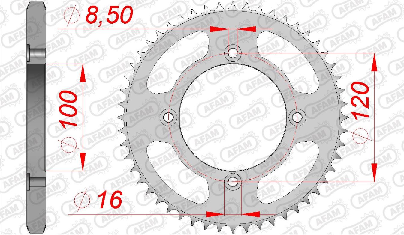 AFAM Kettensatz Stahl 428 R1-G 14x50 - Beta RE / RR 125 AC 2012