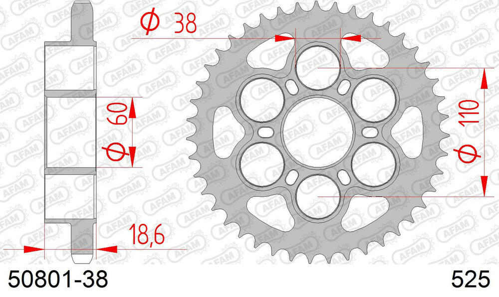 50801-38