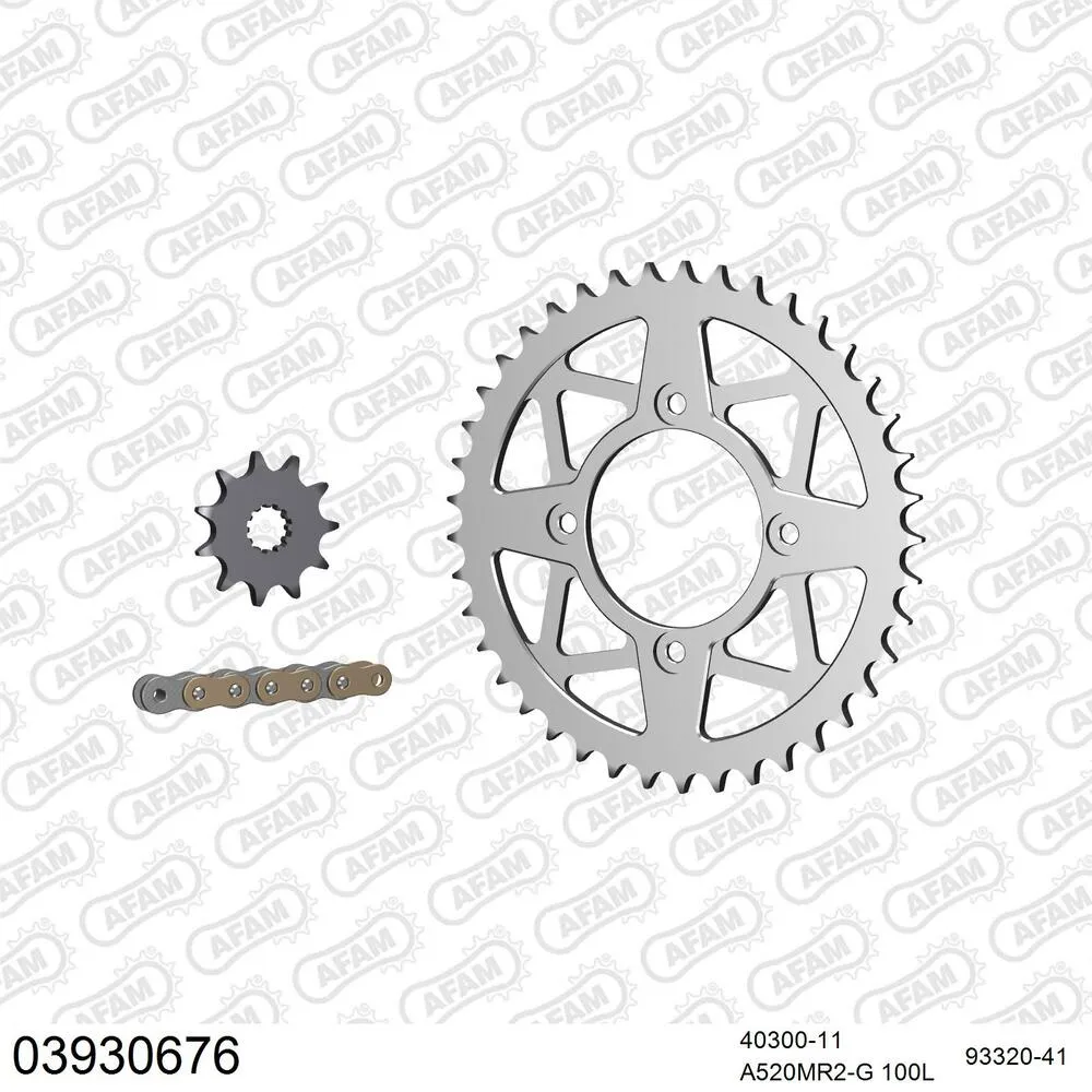 03930676 AFAM Kettensatz Aluminium 520 MR2-G 11x41 - Beta Evo 300 2T 2011-13 - 03930676