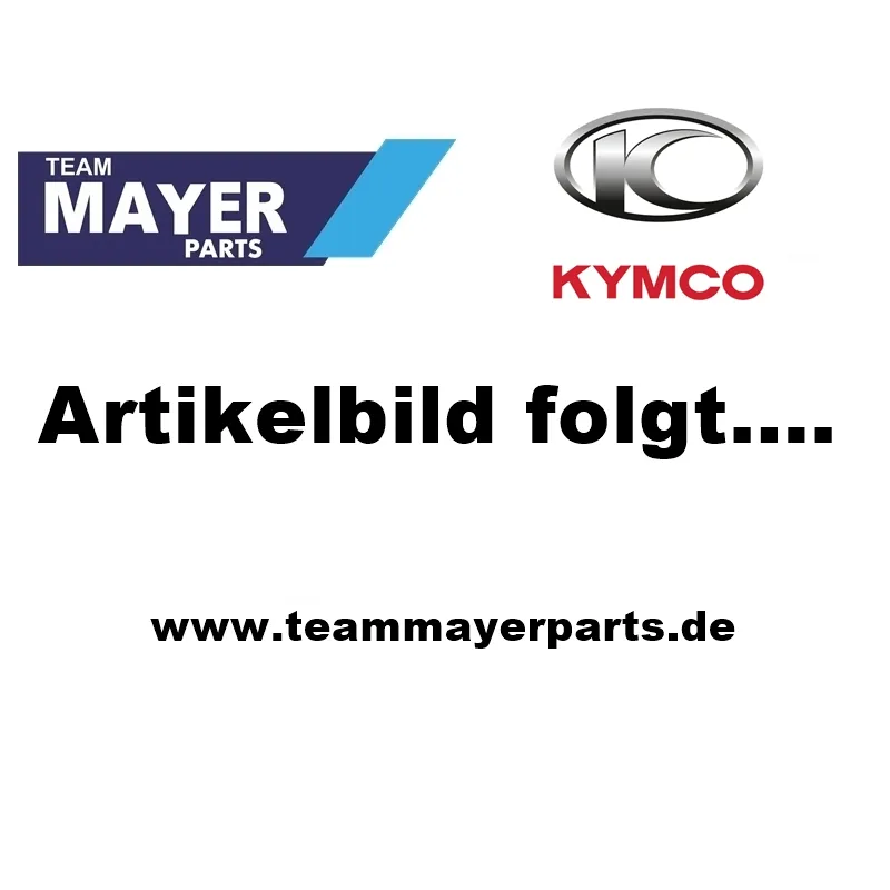 Kymco Seitendeckel re. - 11330-KGD3-E000