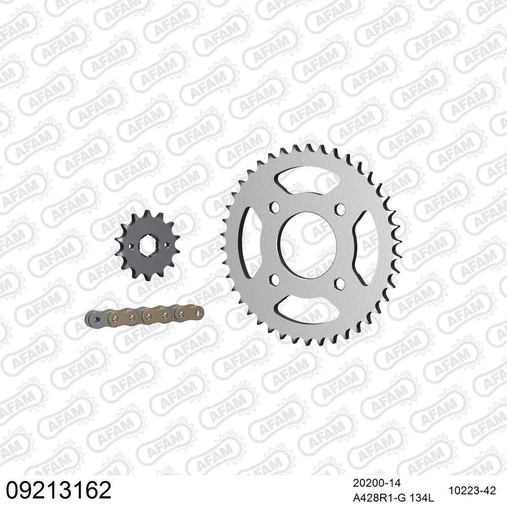 AFAM Kettensatz Stahl 428 R1-G 14x42 - Daelim VT 125 1999-03 - 09213162