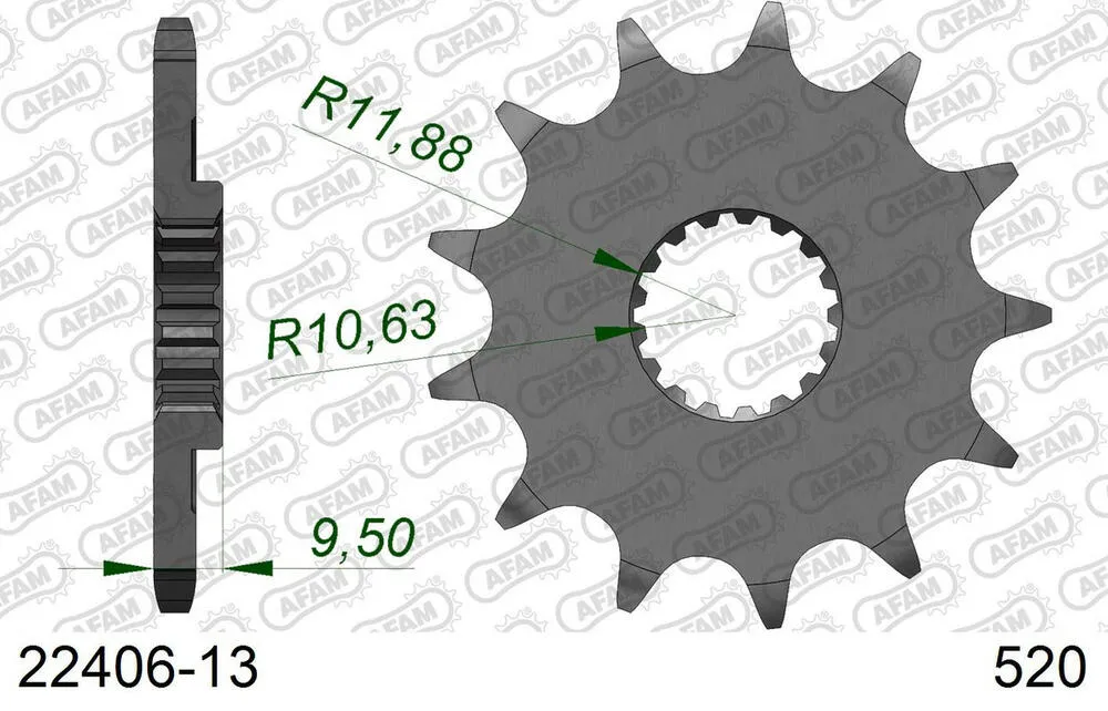 22406-13 AFAM Kettensatz Stahl 520 XRR3-G 13x51 - Suzuki RM-X 450 Z 2010-17 - SL01451700