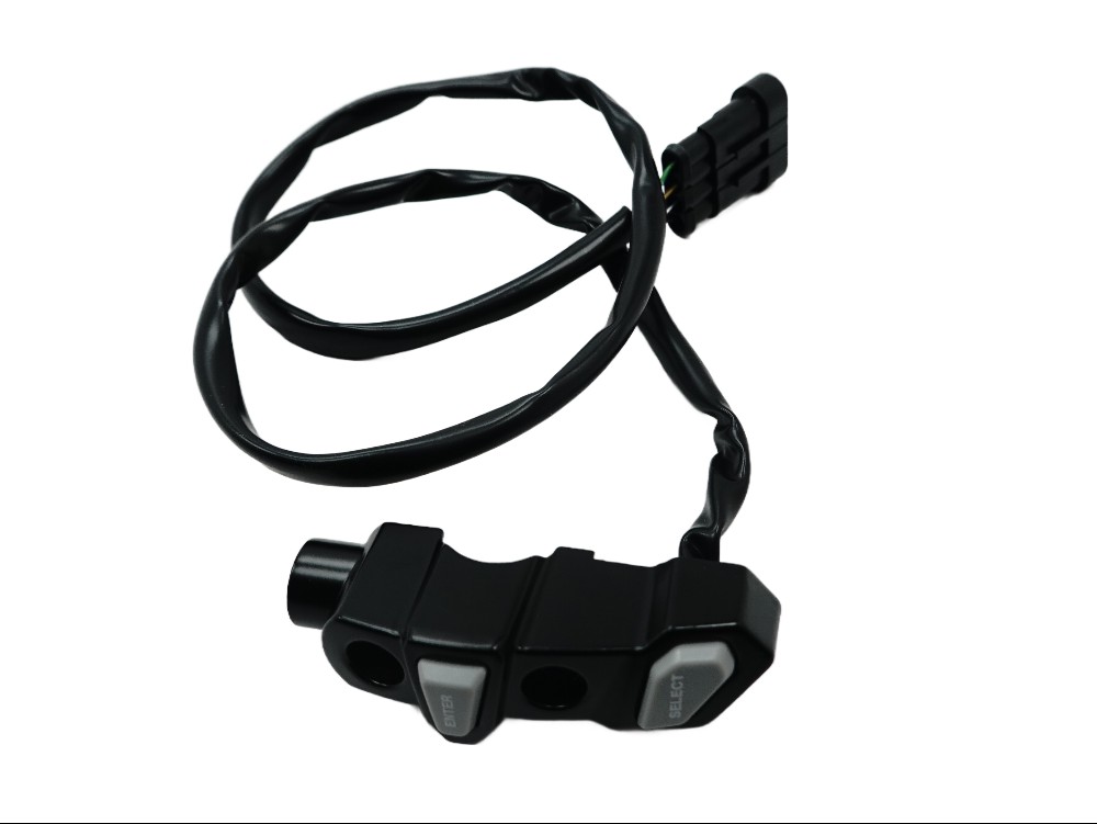 QJ Motor Lenker Bedienelement - 70190P310001