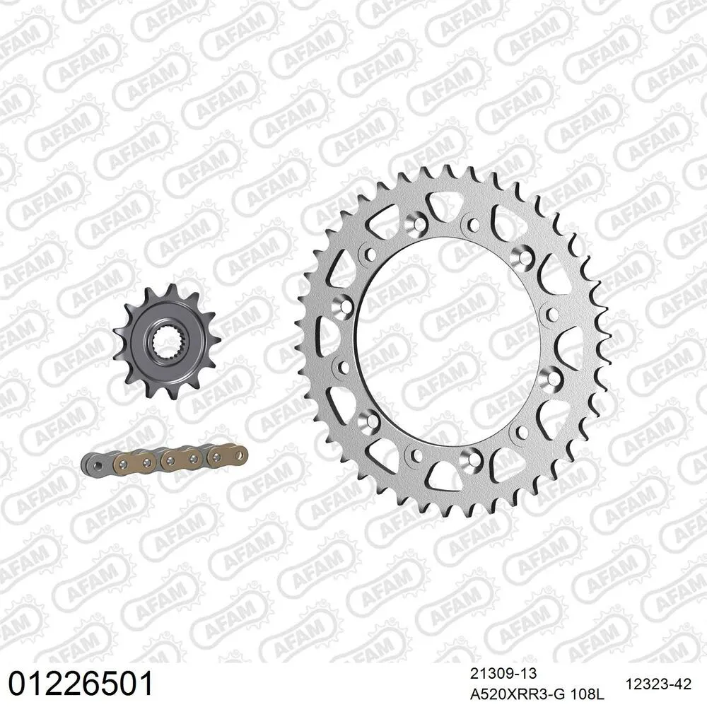 AFAM Kettensatz Stahl 520 XRR3-G 13x42 - Yamaha WR 250 R 2008-16 - 01226501