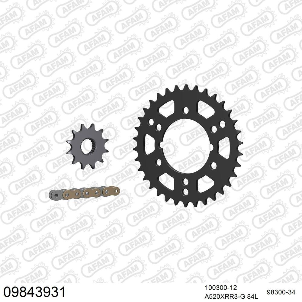 09843931