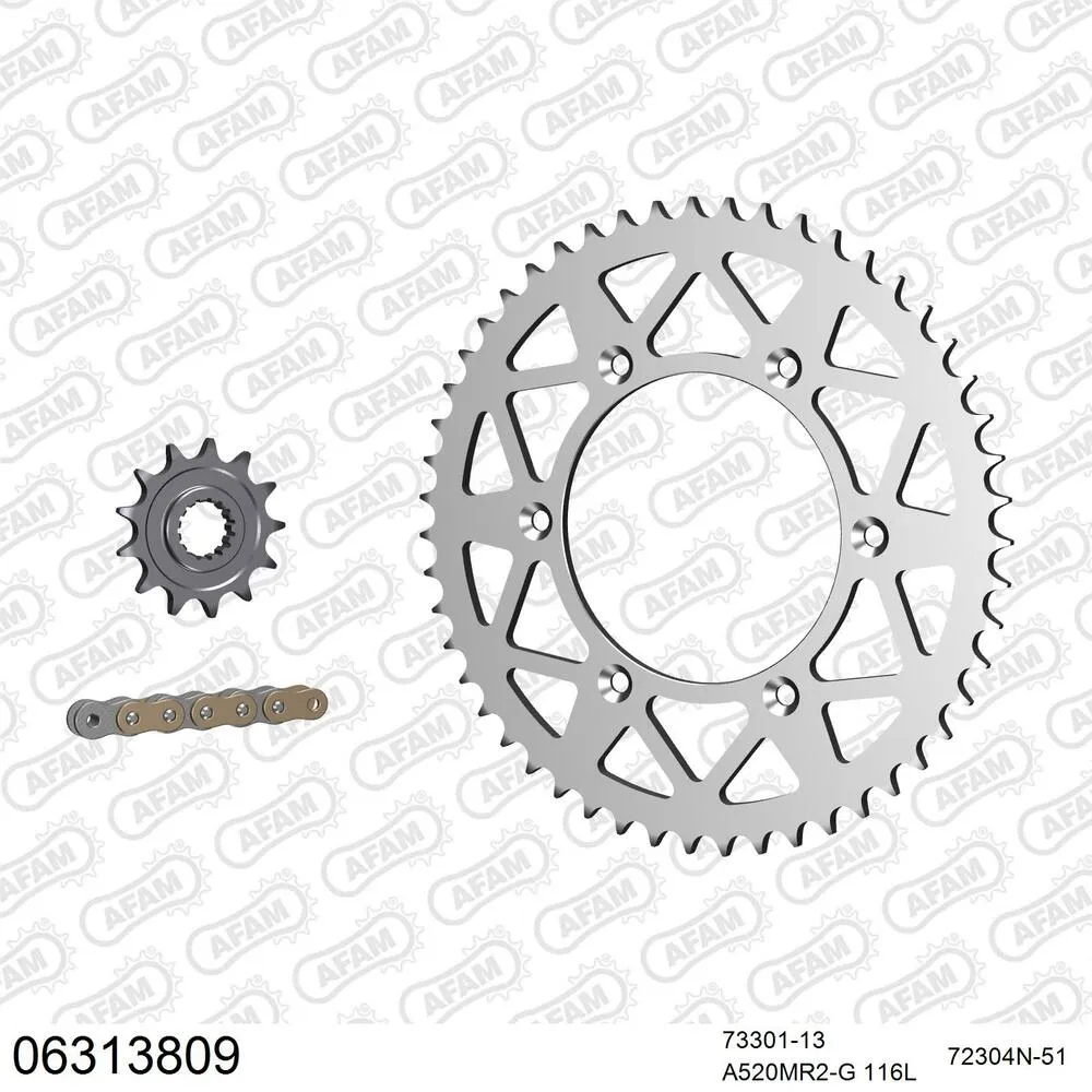 AFAM Kettensatz Aluminium 520 MR2-G 13x51 - Husqvarna TC 125 2020-24 - 06313809